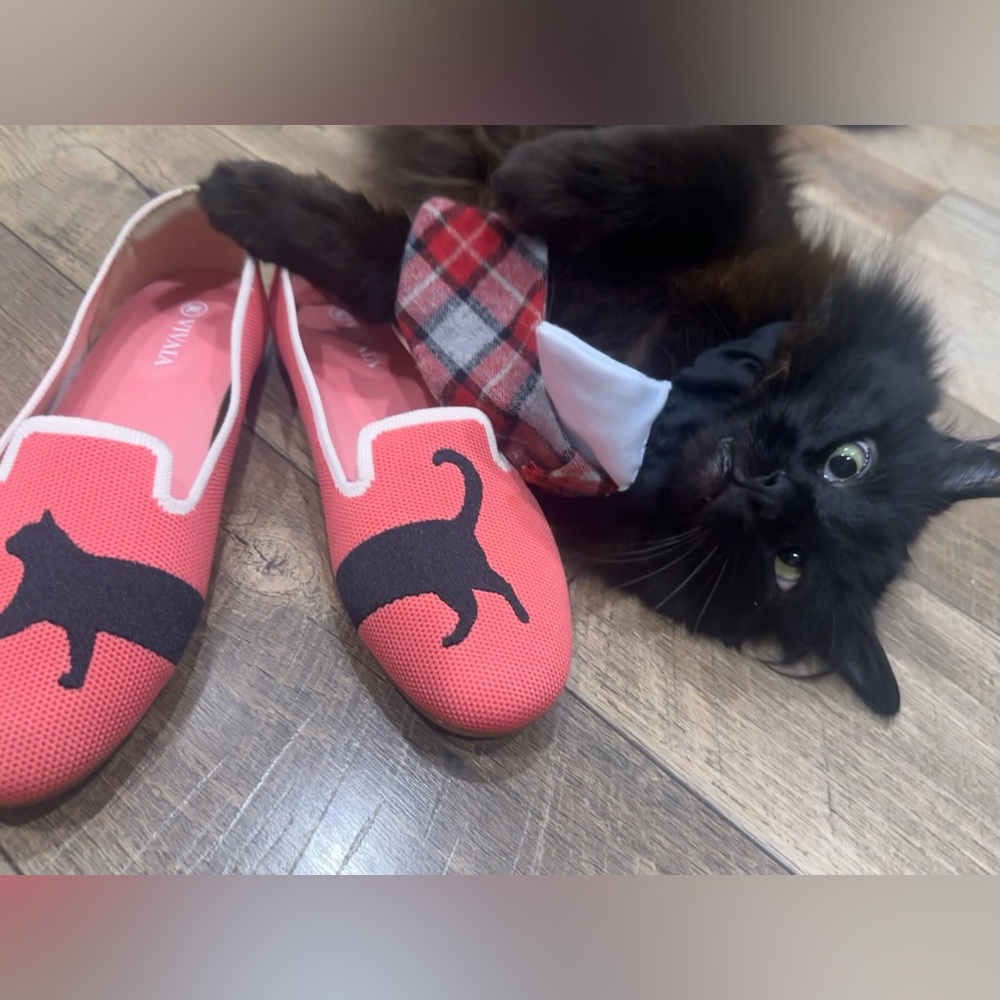 VIVAIA Audrey Coral Pink Ballet Flats Loafers BLACK CAT Size 6.5